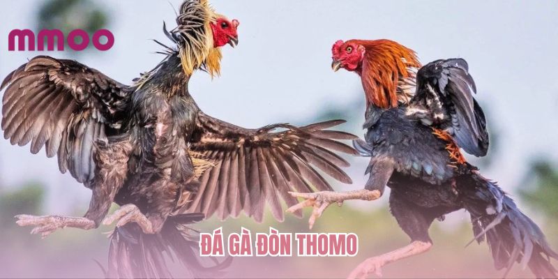 da-ga-don-thomo